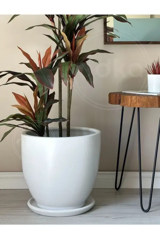 20litre Klasik Saksı Tabaklı 30cmx30cm Beyaz-Beyaz - 2