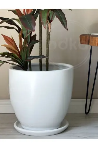 20litre Klasik Saksı Tabaklı 30cmx30cm Beyaz-Beyaz - 3