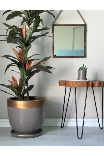 20litre Klasik Saksı Tabaklı 30cmx30cm Vizon Gold-Vizon - 1