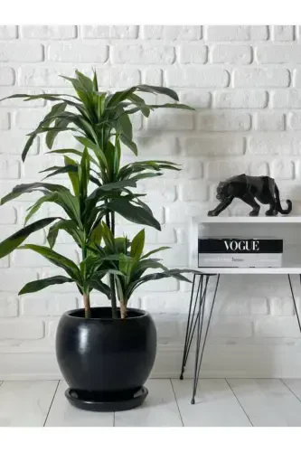 20litre Sphere Pot with Saucer 27cmx27cm Black Color-BLACK - 1