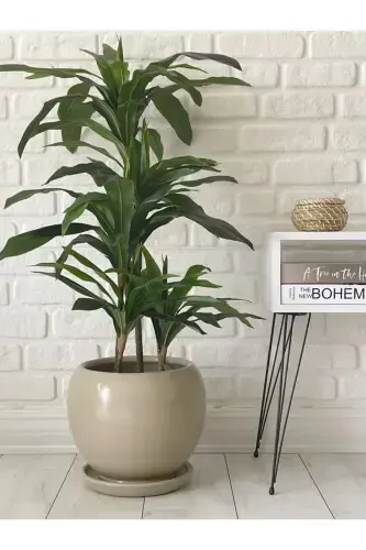 20litre Sphere Pot with Saucer 27cmx27cm Stone Color-STONE COLOR - ODKA (1)