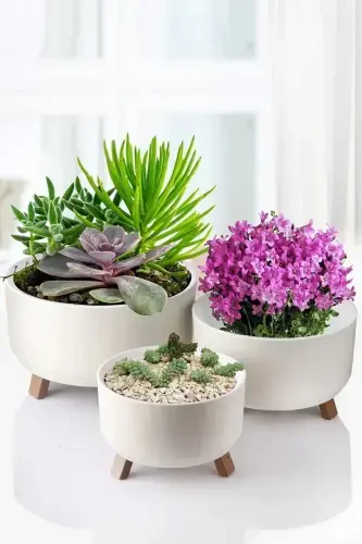 2,25 Litr 22cm Orbita Gultuvak Oyoqli Tesikli Suv oʻtkazgichli Plastik Suqulent Binafsha Aranjman Gultuvagi-No3 BEJ - 6