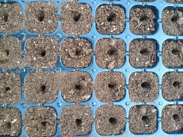24-Hole Soil Digger - Modazone (1)