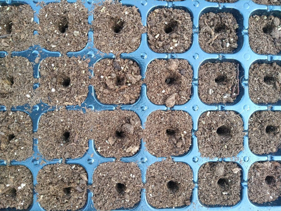 24-Hole Soil Digger - 2