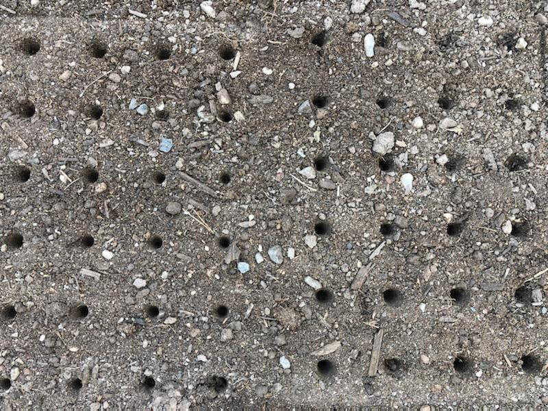 24-Hole Soil Digger - 4