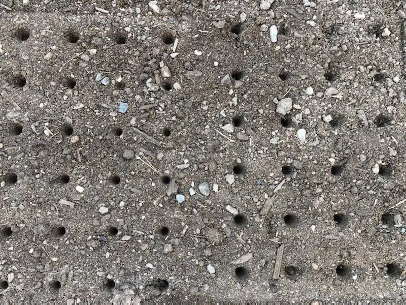 24-Hole Soil Digger - 4