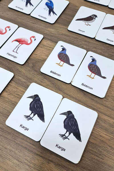 24 Piece Bird Matching Intelligence Game Cards - 1