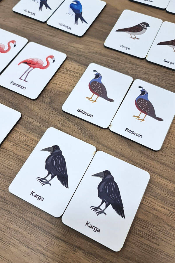 24 Piece Bird Matching Intelligence Game Cards - 1