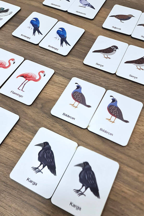 24 Piece Bird Matching Intelligence Game Cards - 2