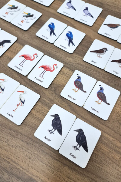 24 Piece Bird Matching Intelligence Game Cards - 3