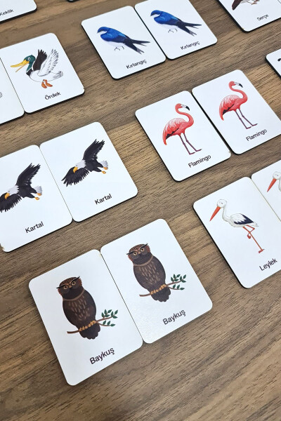 24 Piece Bird Matching Intelligence Game Cards - 4