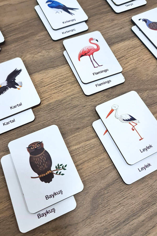 24 Piece Bird Matching Intelligence Game Cards - 5