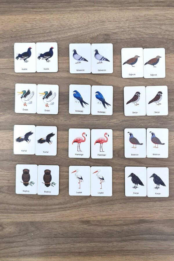 24 Piece Bird Matching Intelligence Game Cards - 6