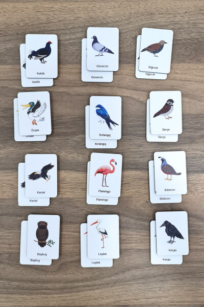 24 Piece Bird Matching Intelligence Game Cards - 7