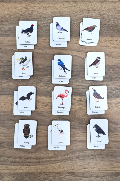 24 Piece Bird Matching Intelligence Game Cards - 8