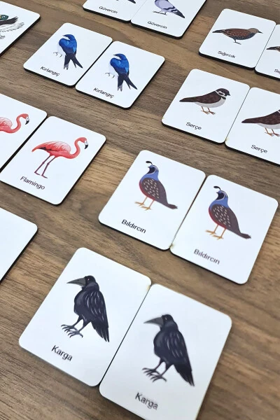 24 Piece Bird Matching Intelligence Game Cards - Modazone (1)