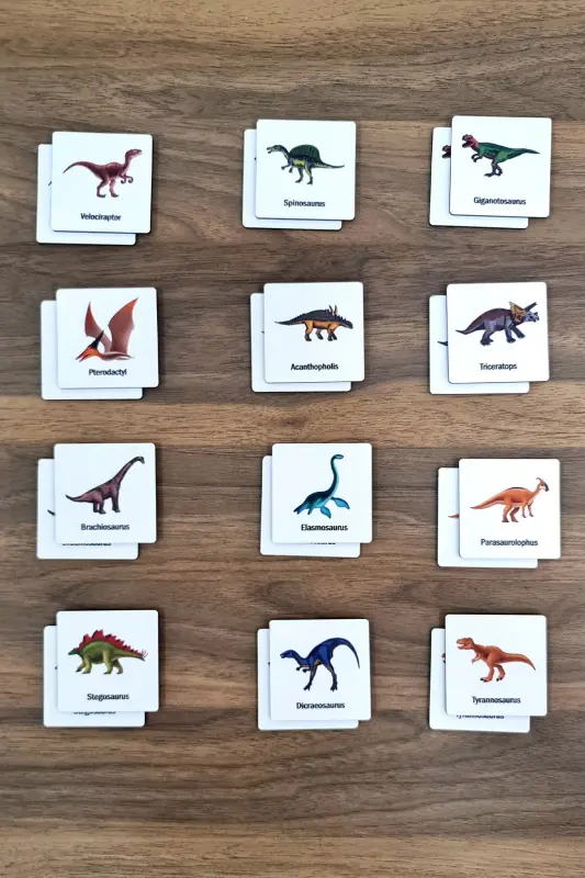 24 Pieces Wooden Dinosaurs Matching Cards Brain Game Cards-Orange - 8