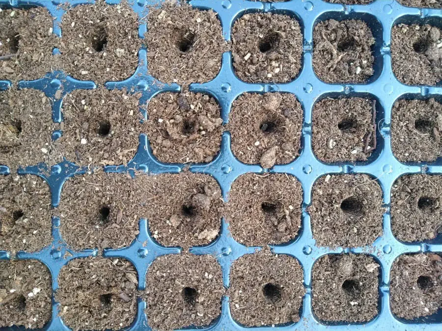 24-Hole Soil Digger - 2