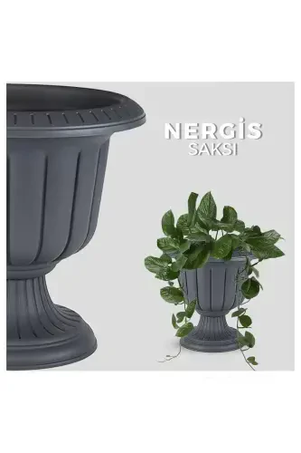 25. 3 Litre Anthracite Daffodil Pot with Stand Decorative Plastic Daffodil Pot No2 Ø47x48cm-25,3Lt Anthracite - 5