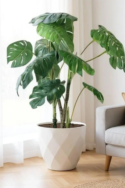 26 Litre Prism Patterned Decorative Large Size Plate Plastic Pot Yakamoz No7 38.5cm 34cm - TEMMUZ HOME