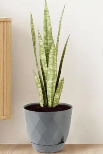 26 Litre Prizma Desenli Dekoratif Büyük Boy Tabaklı Plastik Saksı Yakamoz No7-GRİ - 3