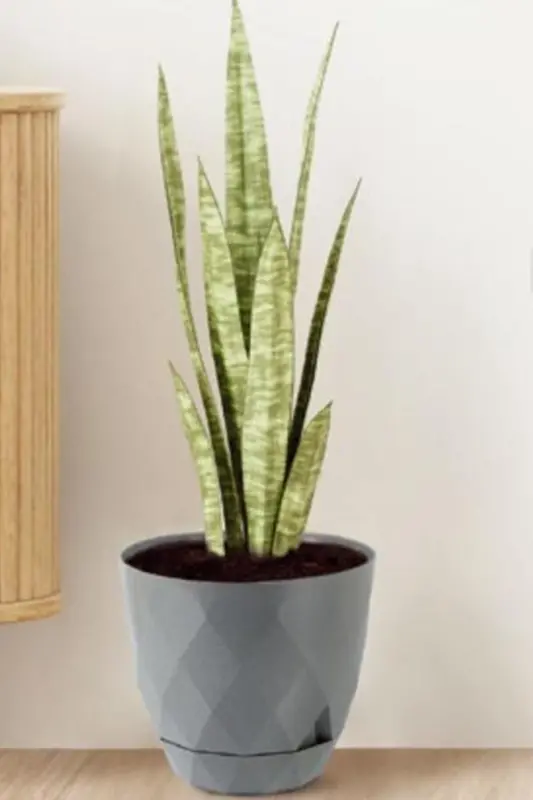 26 Litre Prizma Desenli Dekoratif Büyük Boy Tabaklı Plastik Saksı Yakamoz No7-GRİ - 3