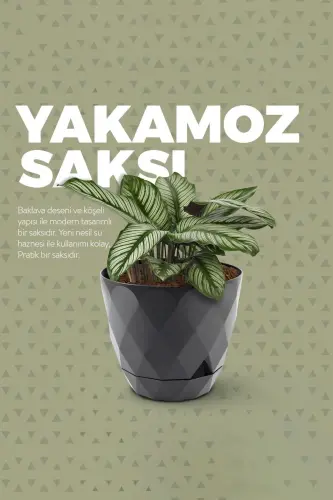 2li Prizma Saksı Seti 4,8 Litre Drenajlı Tabaklı 22cm Plastik Çiçek Saksısı Set Yakamoz No4 - Antrasit Set - 5