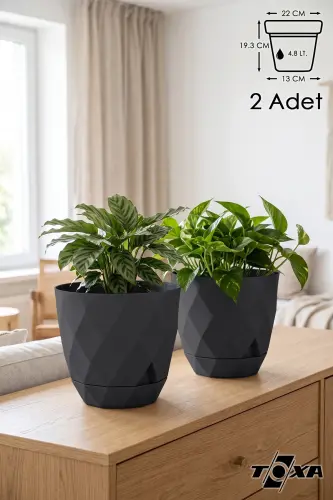 2li Prizma Saksı Seti 4,8 Litre Drenajlı Tabaklı 22cm Plastik Çiçek Saksısı Set Yakamoz No4 - Antrasit Set 