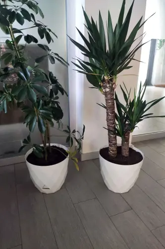 2li Prizma Saksı Seti 4,8 Litre Drenajlı Tabaklı 22cm Plastik Çiçek Saksısı Set Yakamoz No4-Bej Set - 6