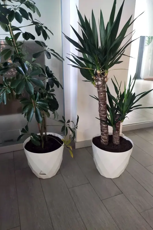 2li Prizma Saksı Seti 4,8 Litre Drenajlı Tabaklı 22cm Plastik Çiçek Saksısı Set Yakamoz No4 - Beyaz Set - 4
