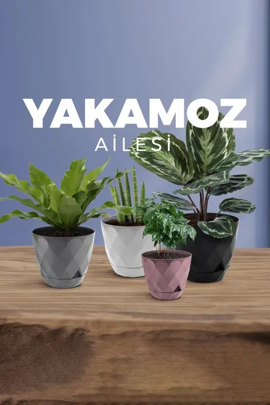 2li Prizma Saksı Seti 4,8 Litre Drenajlı Tabaklı 22cm Plastik Çiçek Saksısı Set Yakamoz No4 - Yeşil Set - 6
