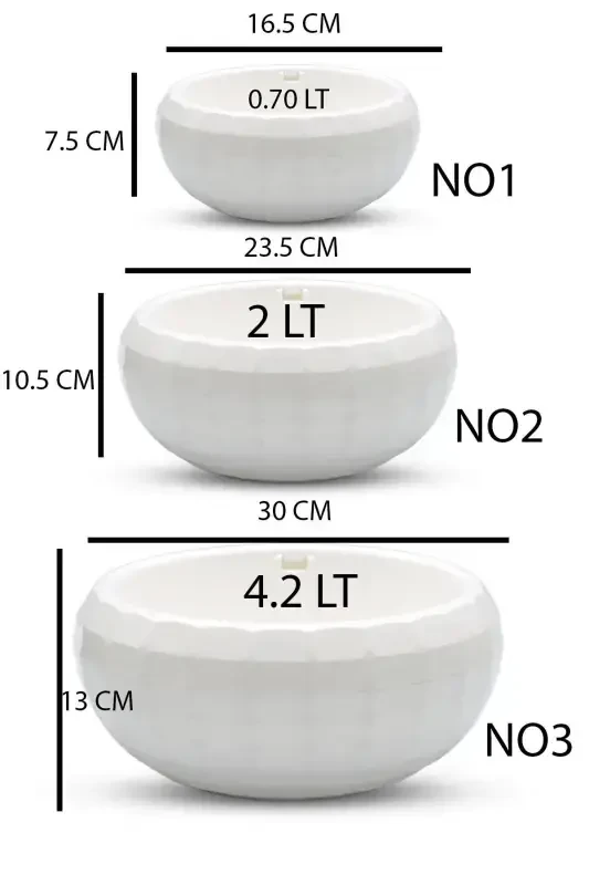 3 Arrangement Pot Set Plant Flower Cactus Succulent And Bonsai Pot-WHITE - 2