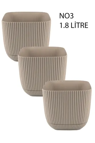 3 dona 1,8 Kvadrat Mercan Kvadrat Idish Kaktus Sukulent Gul va O'simlik Idishi No3 15x13 sm - TEMMUZ HOME (1)