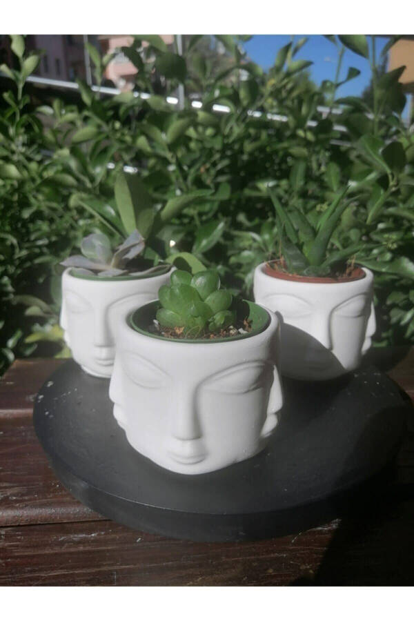 3-Pack Small Adler Pot - 2
