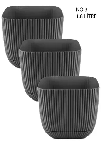 3 Pcs 1.8 Square Coral Square Pot Cactus Succulent Flower and Plant Pot No3 15x13cm-ANTHRACITE - 1