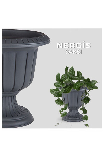 3 Piece Decorative Narcissus Pot Set Plastic Flower Pot 3 Pack - 16