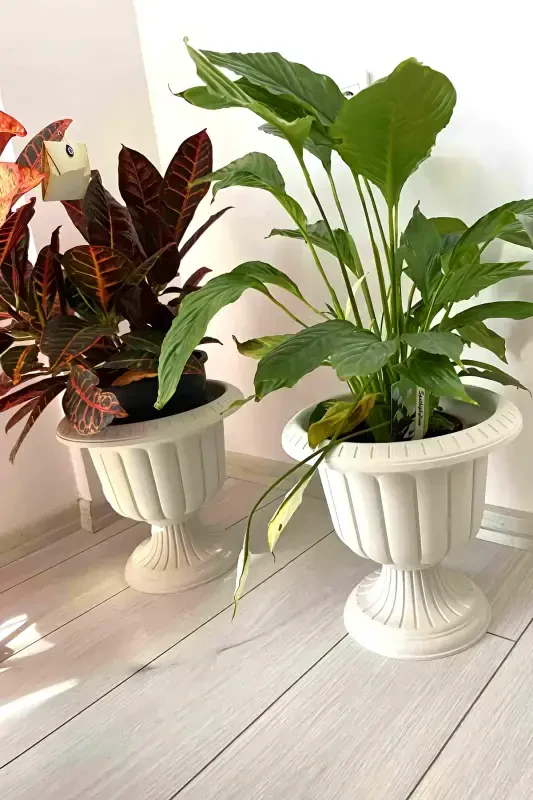 3 Piece Decorative Narcissus Pot Set Plastic Flower Pot 3 Pack - 5