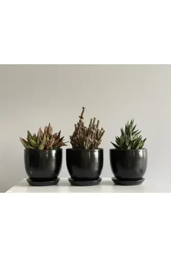 3-Piece Mini Pot Set 10cmx12cm Black Color-Black - 1