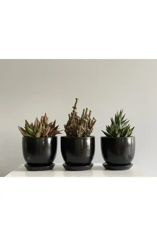 3-Piece Mini Pot Set 10cmx12cm Black Color-Black - ODKA