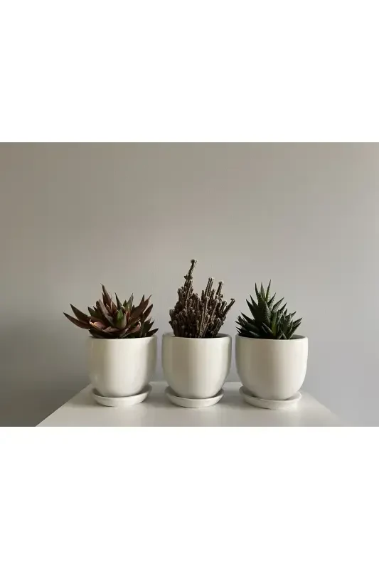 3-Piece Mini Pot Set 10cmx12cm Ecru Color-Ecru - 1