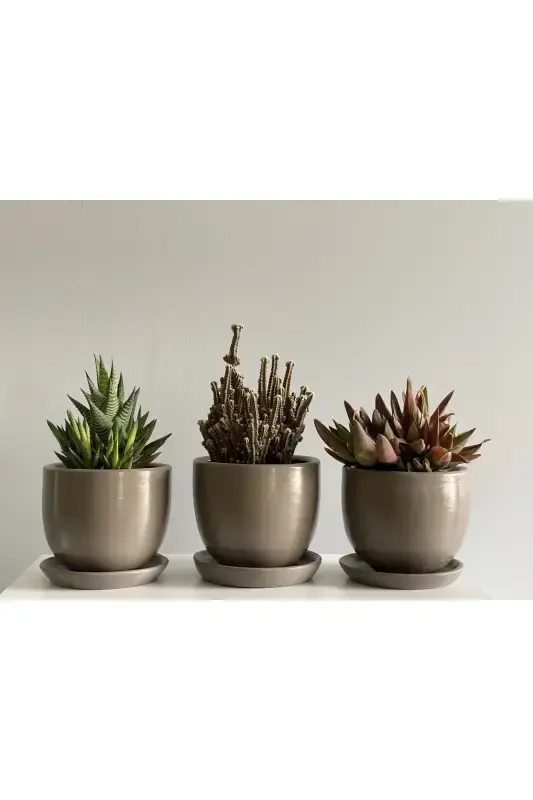 3-Piece Mini Pot Set 10cmx12cm Mink Color-Mink - 1