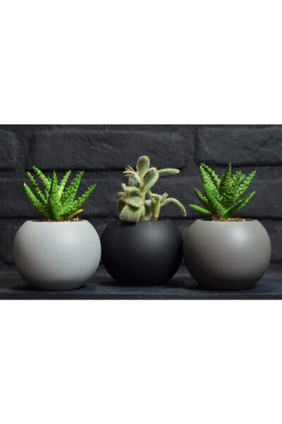 3 Piece Round Pot Black White Grey Cactus Succulent Pot - GENEL MARKALAR
