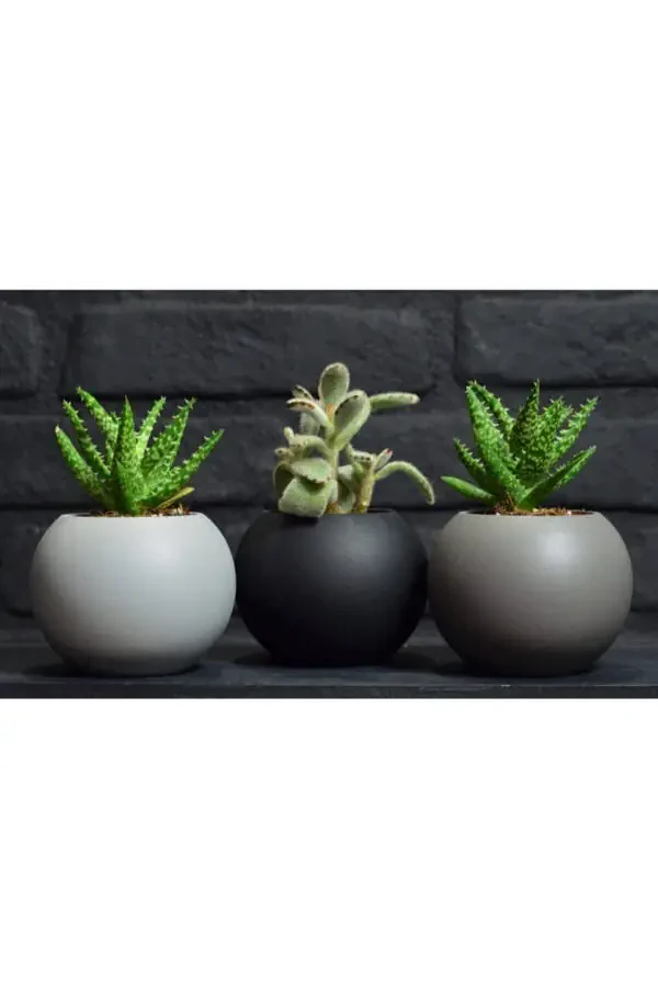 3 Piece Round Pot Black White Grey Cactus Succulent Pot - 3