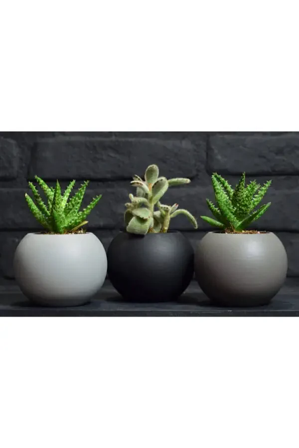 3 Piece Round Pot Black White Grey Cactus Succulent Pot - 2