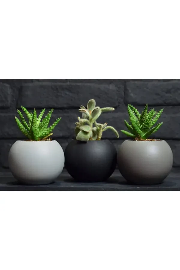 3 Piece Round Pot Black White Grey Cactus Succulent Pot - 1