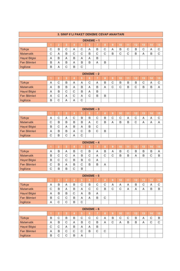 3. Sınıf Tüm Dersler Denemeleri 6 Deneme - 2