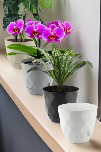 № 3 Средний размер 4 штуки 4 цвета Бахлама узорная тарелка пластиковый горшок Yakamoz 2,4 л - 3