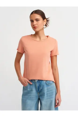 30817 Bisiklet Yaka T-shirt-Somon - Somon - DILVIN (1)