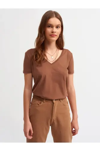 3470 V Neck Basic T-shirt-brown-Brown 