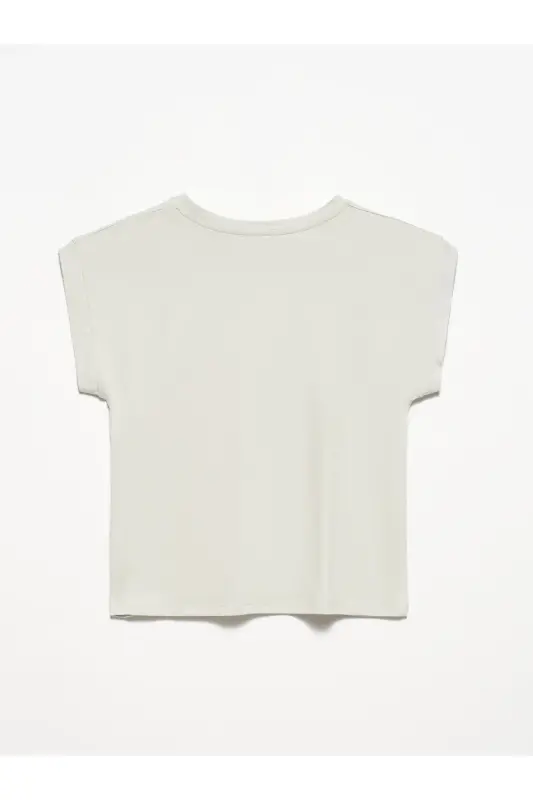 3504 Crew Neck Cotton T-shirt-gray-Gray - 3